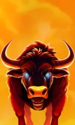 Big Wild Buffalo 2